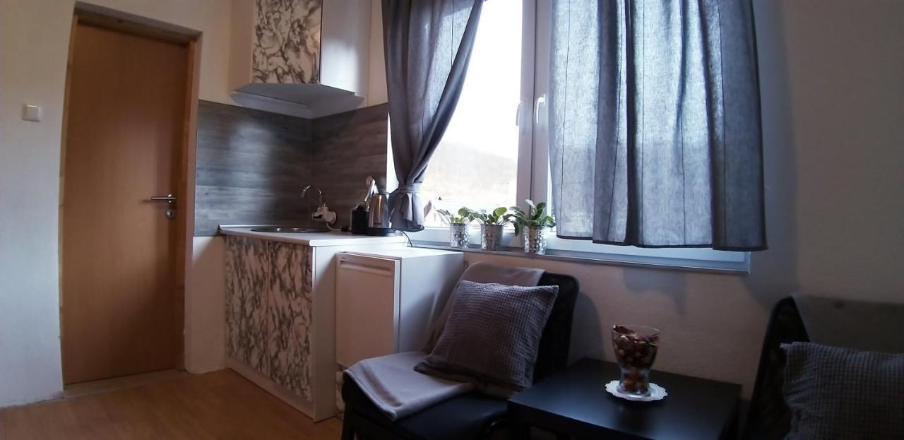 Studio Apartman Sajra Кулен Вакуф Экстерьер фото